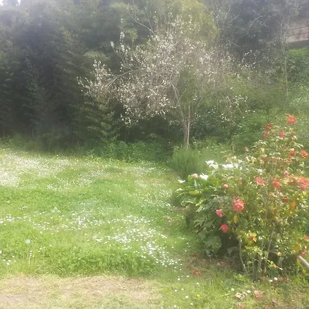 Sweet Apartment San Terenzo